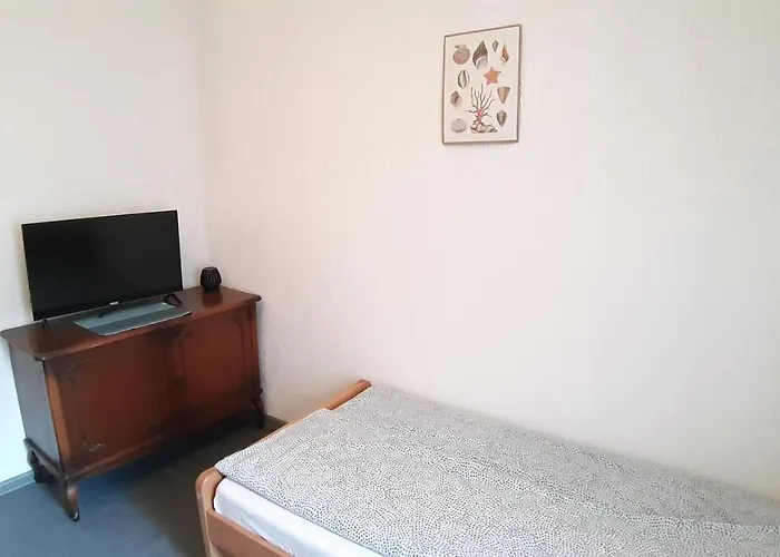 Apartman Despot